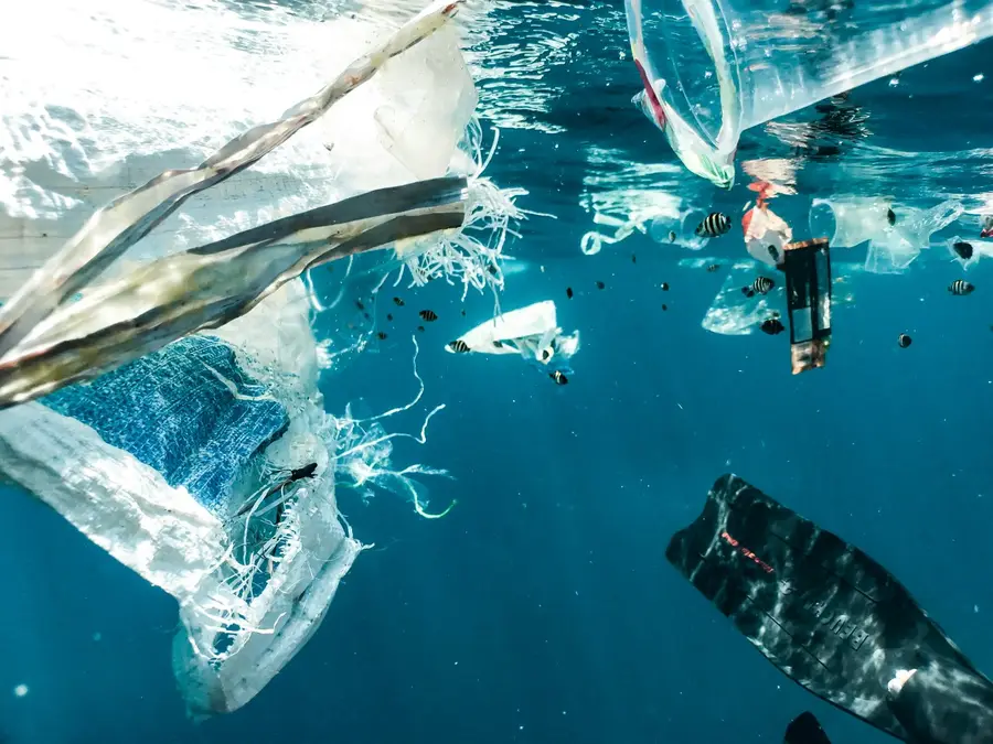 Plastic waste drifting in coastal water